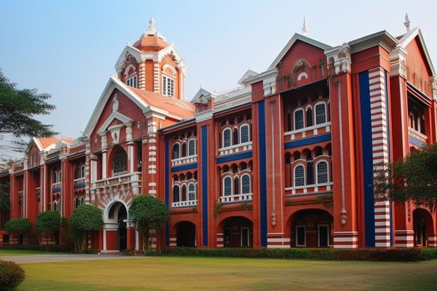 清华大学强基计划2023招生人数（强基计划河南录取人数）