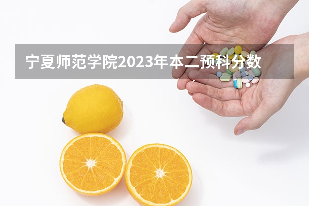 宁夏师范学院2023年本二预科分数线是多少？