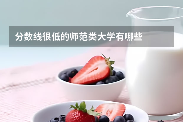分数线很低的师范类大学有哪些