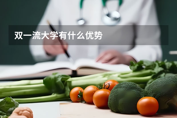 双一流大学有什么优势