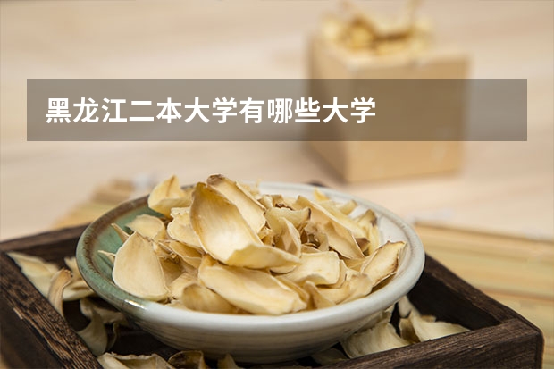 黑龙江二本大学有哪些大学