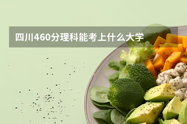 四川460分理科能考上什么大学