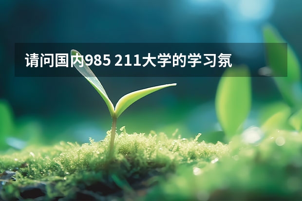 请问国内985 211大学的学习氛围是什么样的