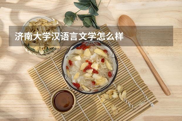济南大学汉语言文学怎么样
