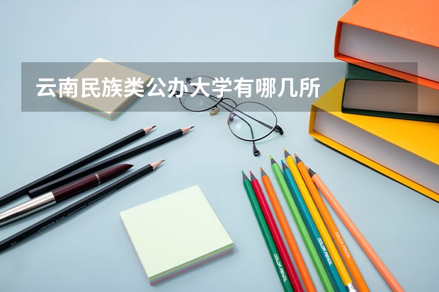 云南民族类公办大学有哪几所