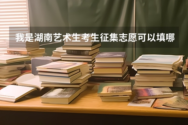 我是湖南艺术生考生征集志愿可以填哪些学校（文化391专业236）