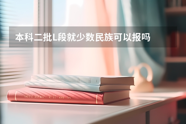 本科二批L段就少数民族可以报吗