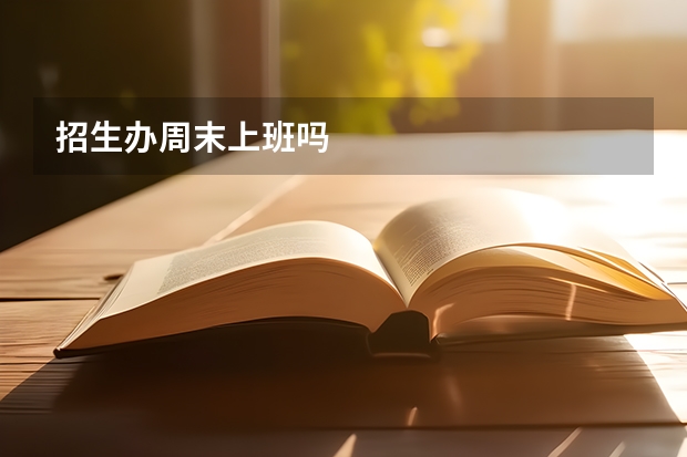 招生办周末上班吗