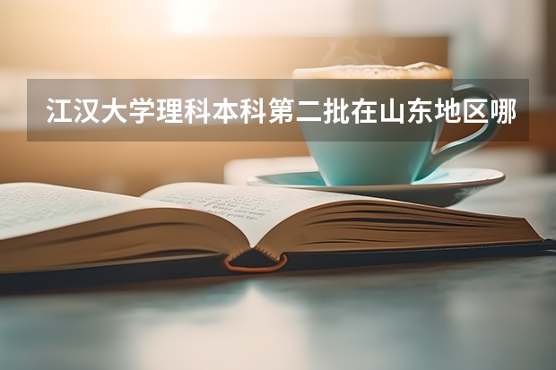 江汉大学理科本科第二批在山东地区哪个专业的录取平均分数线最高?