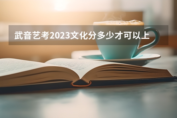 武音艺考2023文化分多少才可以上