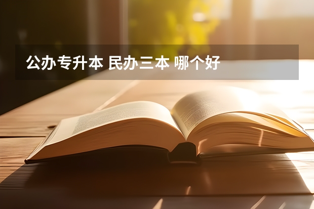 公办专升本 民办三本 哪个好
