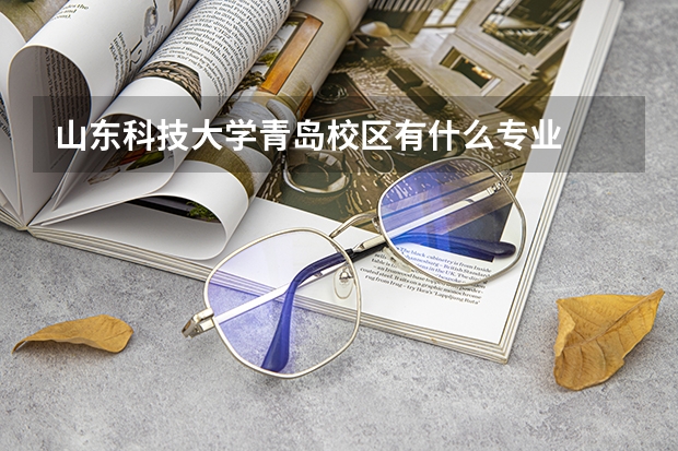 山东科技大学青岛校区有什么专业