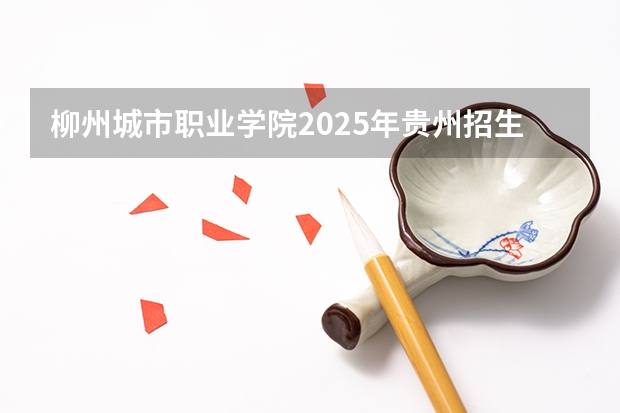 柳州城市职业学院2025年贵州招生计划预测